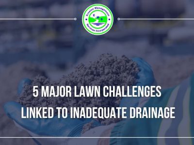 5 Major Lawn Challenges Linked to Inadequate Drainage