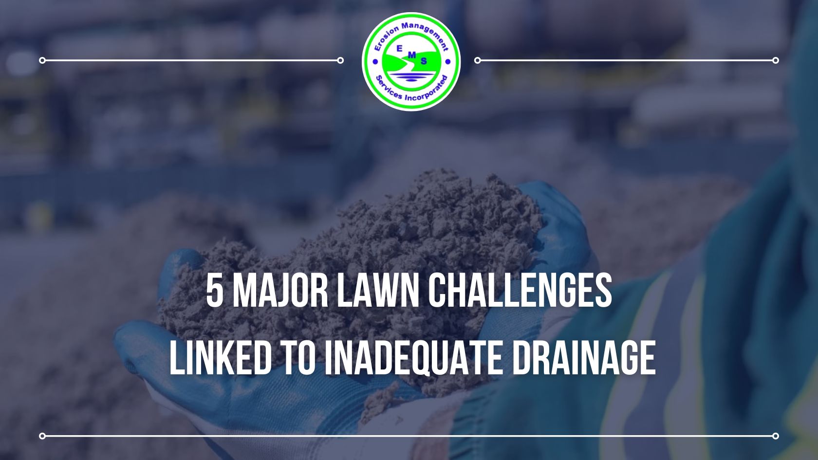 5 Major Lawn Challenges Linked to Inadequate Drainage