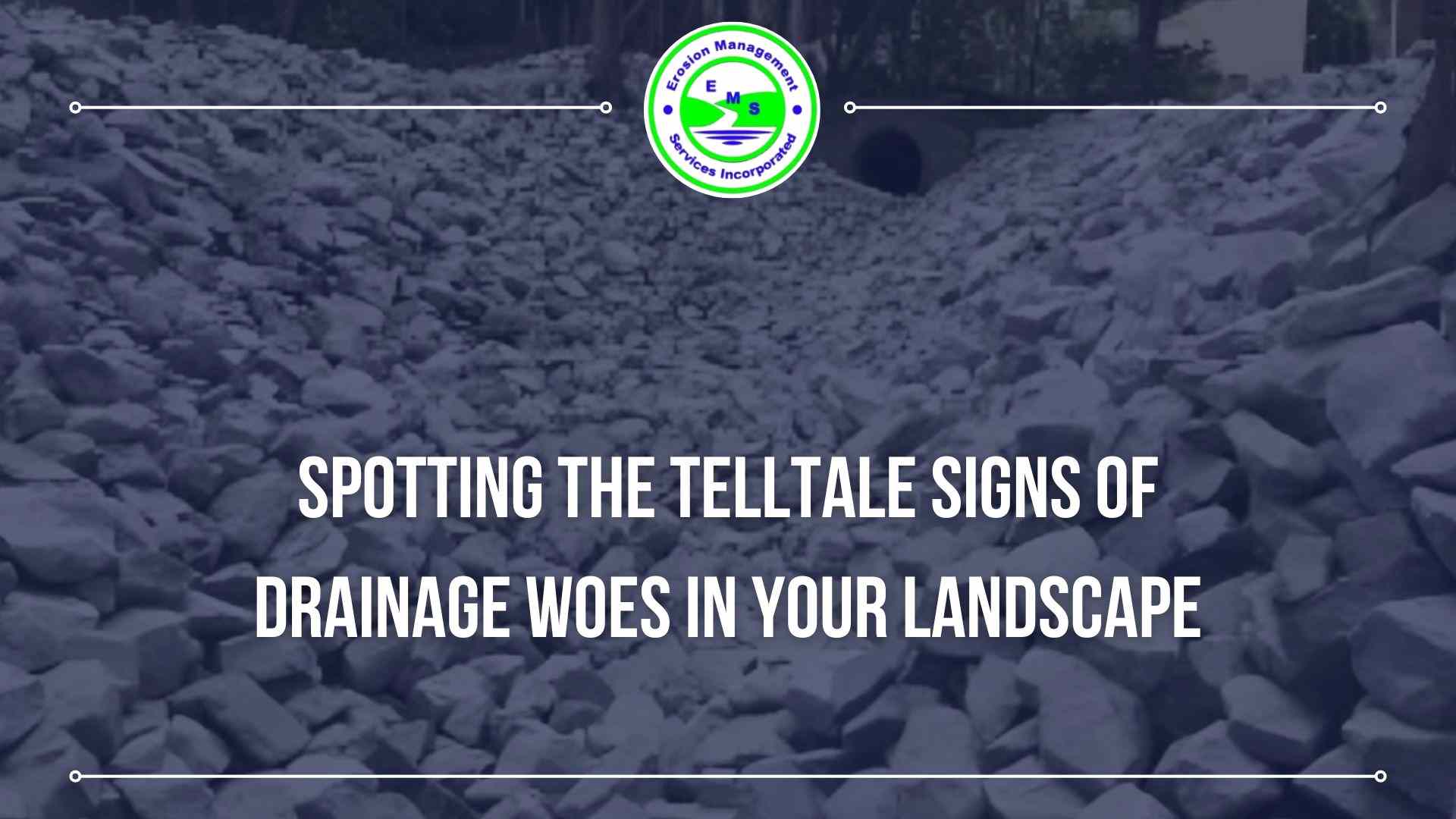 Spotting the Telltale Signs of Drainage Woes in Your Landscape