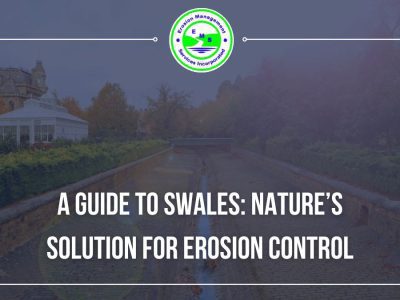A Guide to Swales: Nature’s Solution for Erosion Control