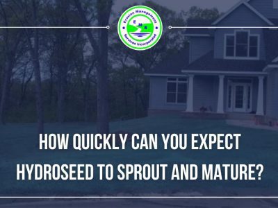 How Quickly Can You Expect Hydroseed to Sprout and Mature?