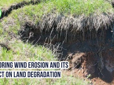 Exploring Wind Erosion and Its Impact on Land Degradation