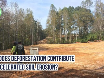 How Does Deforestation Contribute to Accelerated Soil Erosion?