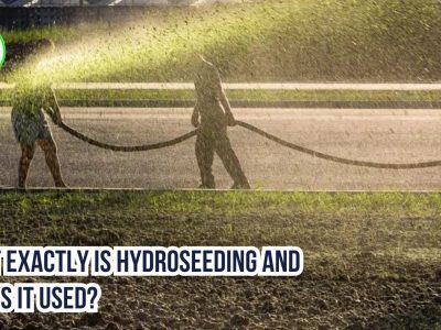 What Exactly Is Hydroseeding and How Is It Used?