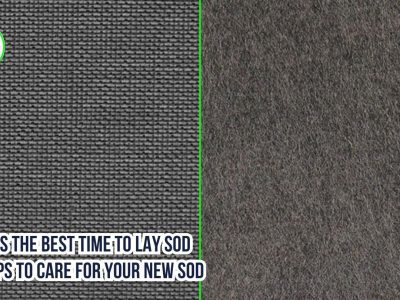 Woven vs Nonwoven Geotextile Fabric: Which One to Choose?