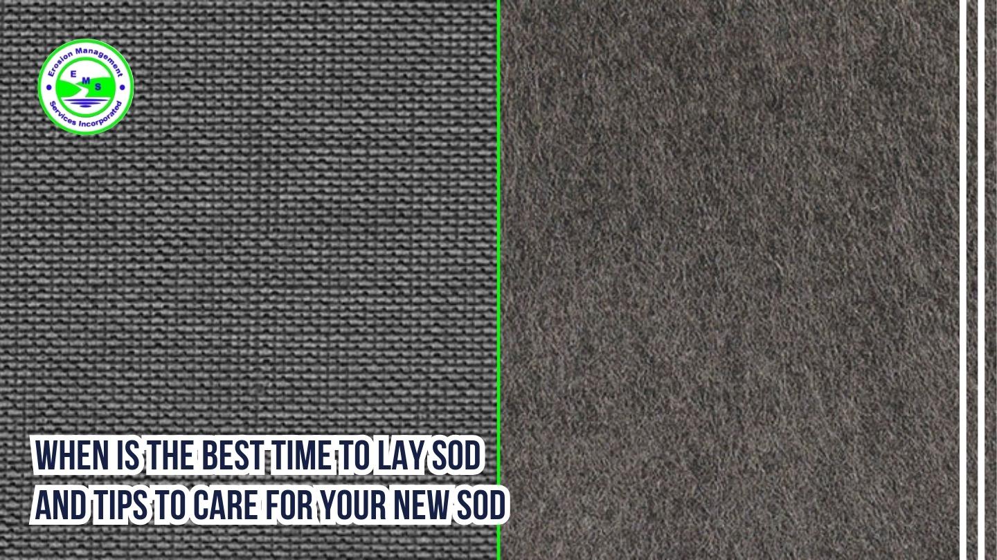 Woven vs Nonwoven Geotextile Fabric: Which One to Choose?