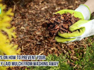 Top Tips on How to Prevent Your Freshly Laid Mulch from Washing Away