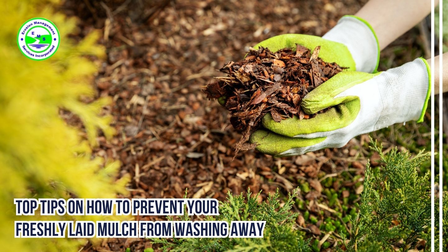Top Tips on How to Prevent Your Freshly Laid Mulch from Washing Away
