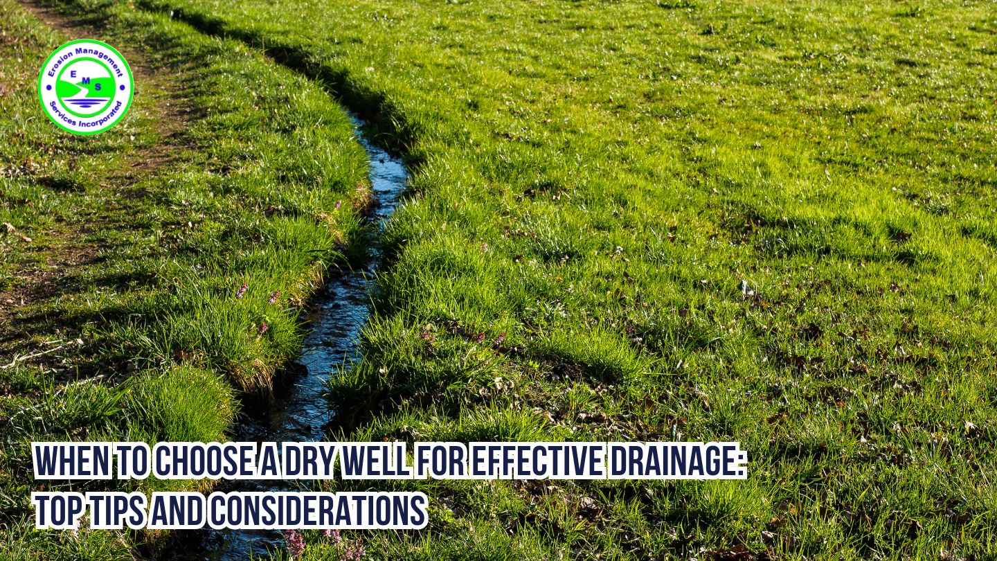 When to Choose a Dry Well for Effective Drainage: Top Tips and Considerations