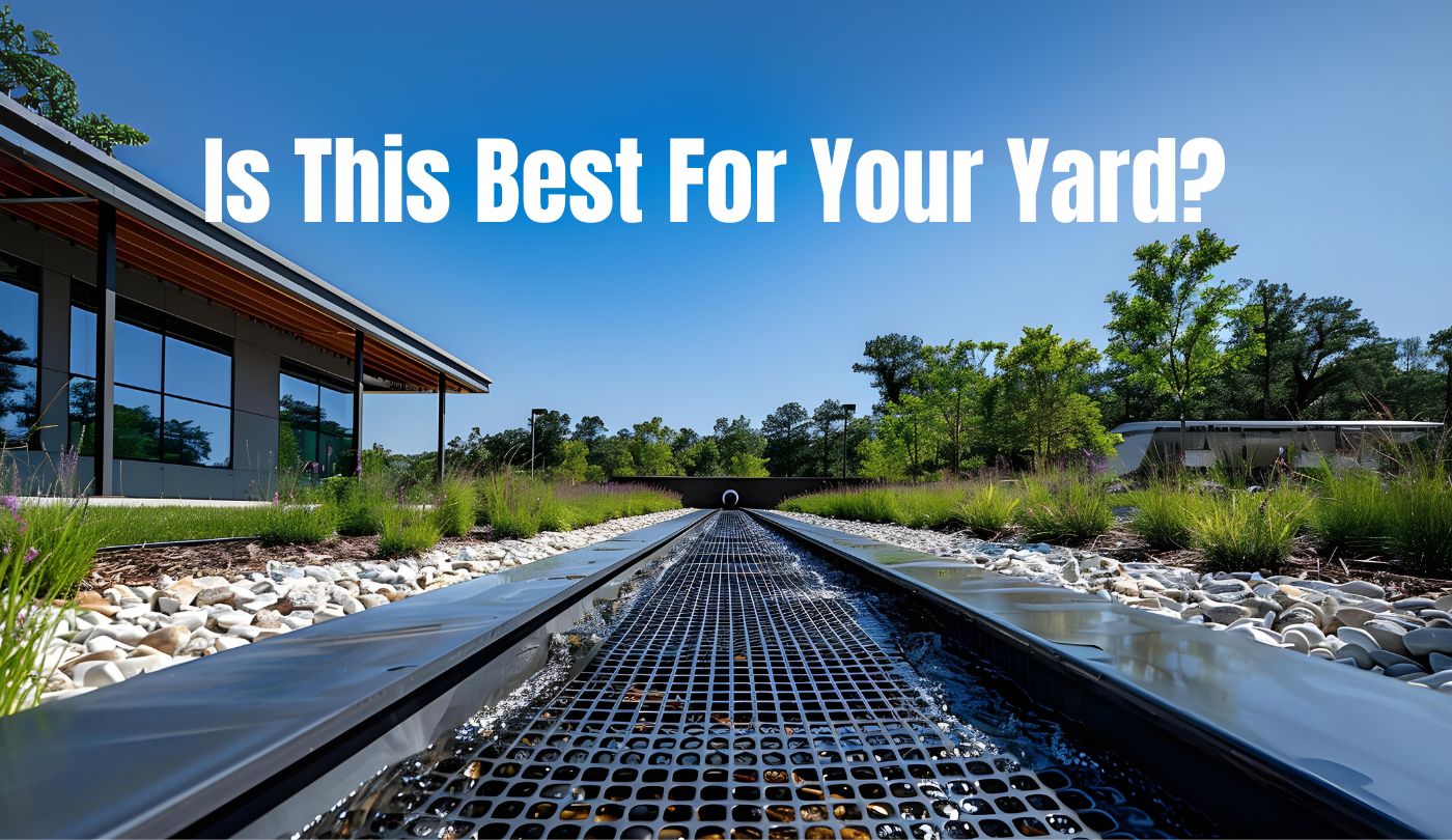 Catch Basin vs French Drain: Which One Is Best for Your Yard?