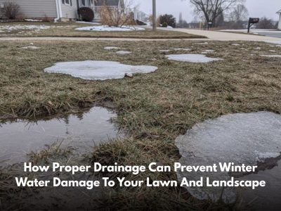 How Proper Drainage Can Prevent Winter Water Damage to Your Lawn and Landscape